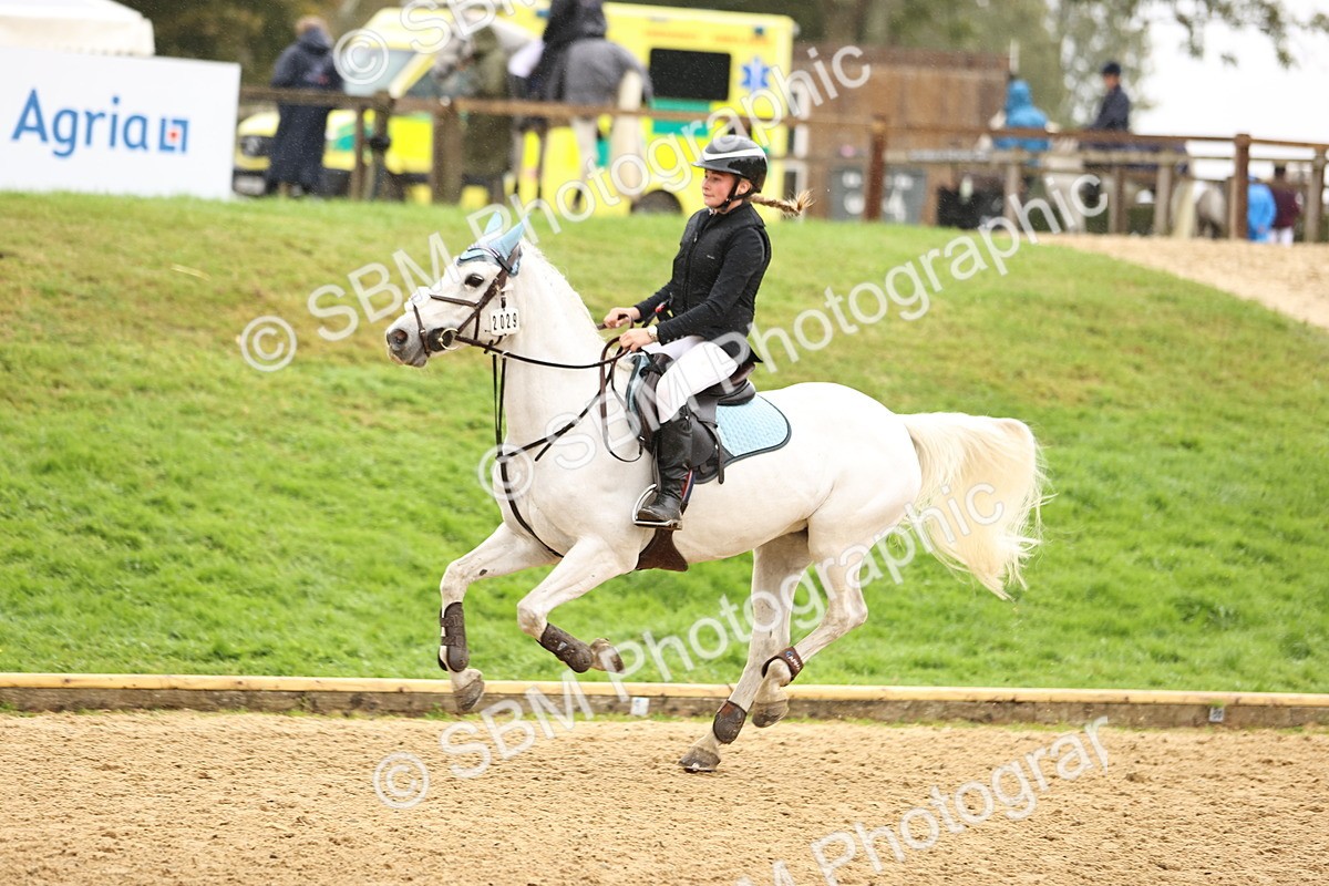 SBM_70036 - Supreme Championship 80cm 85cm