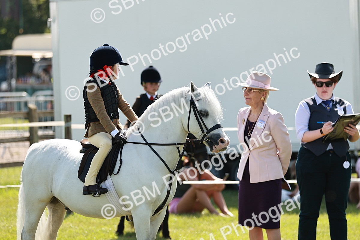 SBM_12743 - Class 106-107 - BSPS LIHS Working Sports Pony