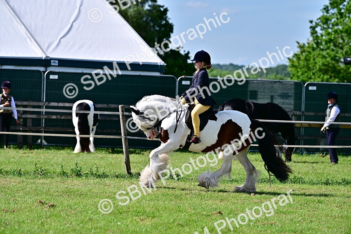 SBM_09331 - Class 63-65 - Traditional Gypsy Cobs In Hand & Ridden