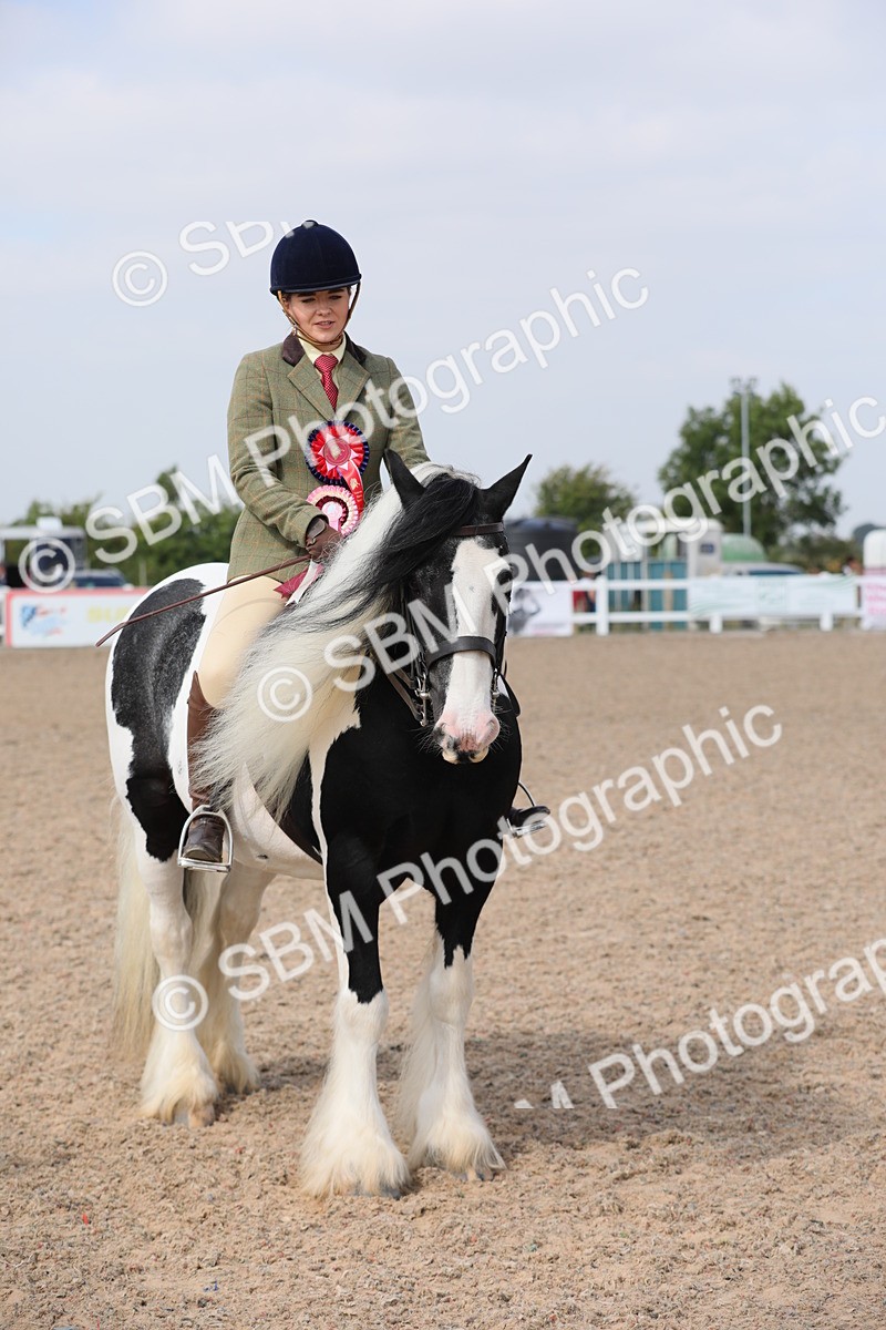 SBM_12865 - Class 307 Ridden Coloured Pony