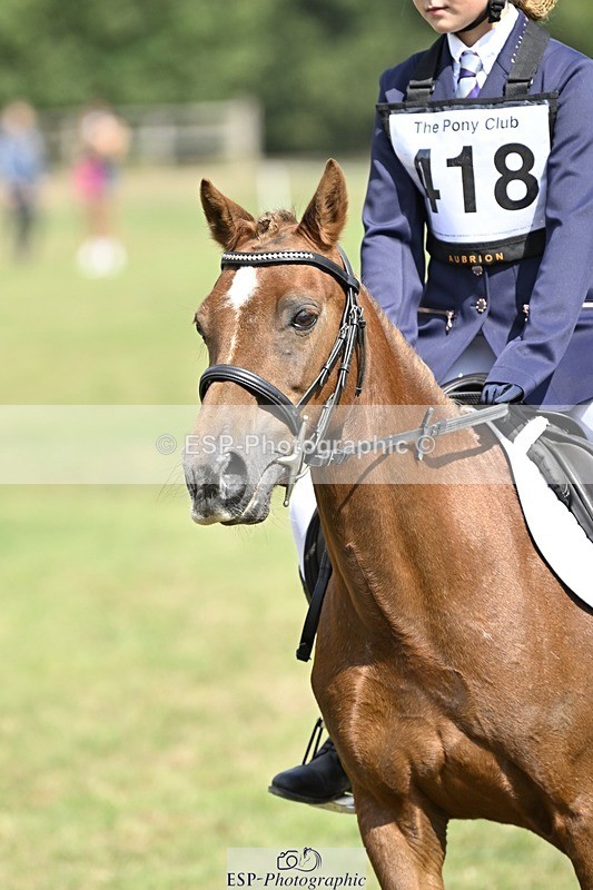 250821A-120551-15439 - DR 11.00 to 12.00