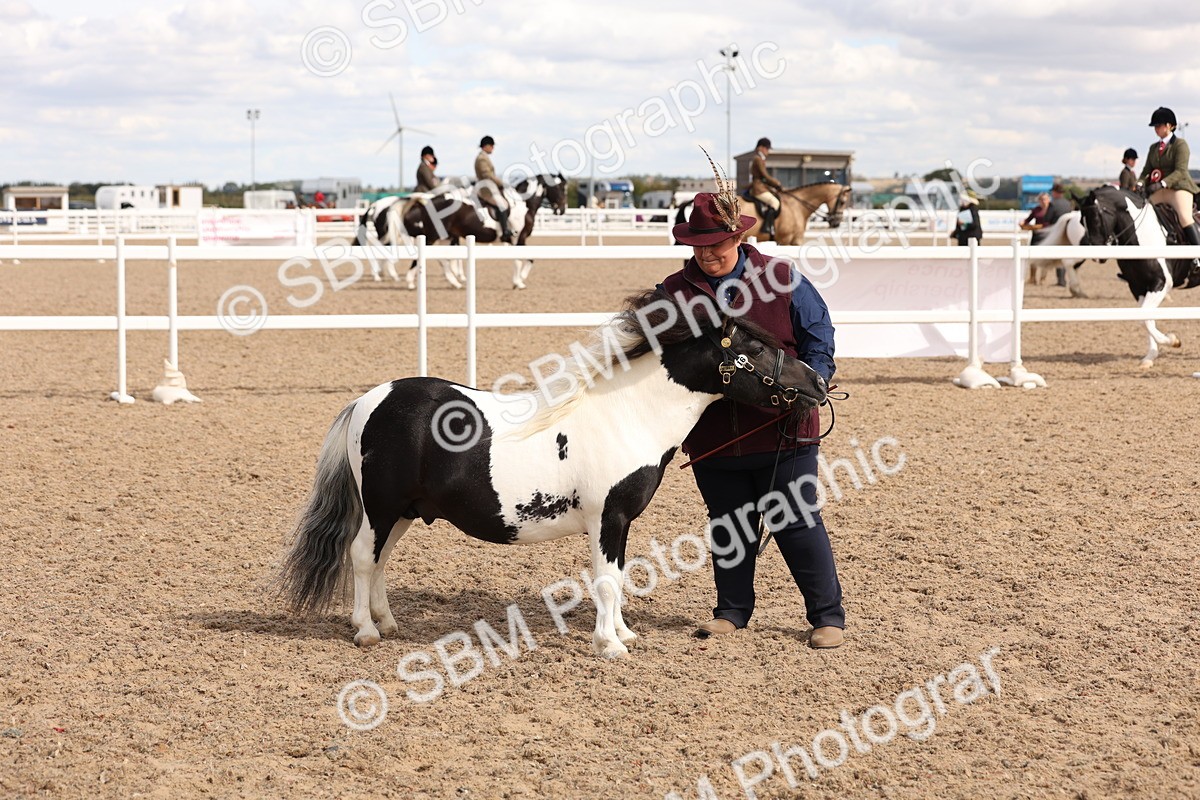 SBM_15106 - Class 209 - IH Veteran Pony