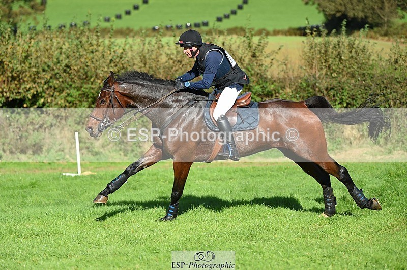 231022-125006-28343 - 313-CURTIS.DES.CHAUMES-Gilles.Serbource-XC