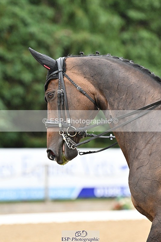 240811-110647-05091 - 113-Deborah.Randall-WillowX11