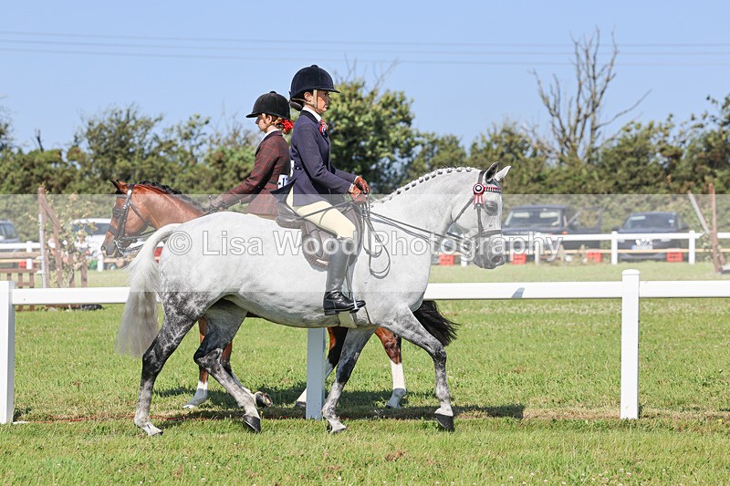 IMG_1877 - Class 33: Show Pony 148cm and under