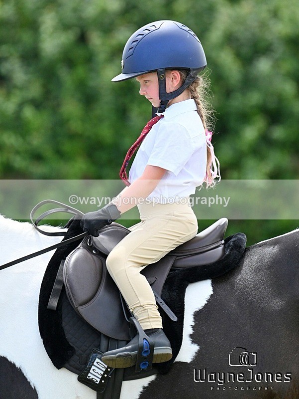 WJ7_8111 - Nancy And Churchill SORC summer show 21-06-26