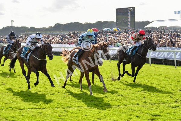 141023-Race 2-Whiskey Pete-0768 - Race 2 1.50pm Play Coral 'Racing-Super-Series' For Free Nursery Handicap