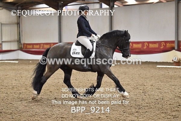 BPP_9214 - ELEM 6