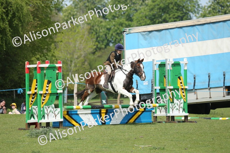 20260426-1779 - Class 14 - Novice 60cm