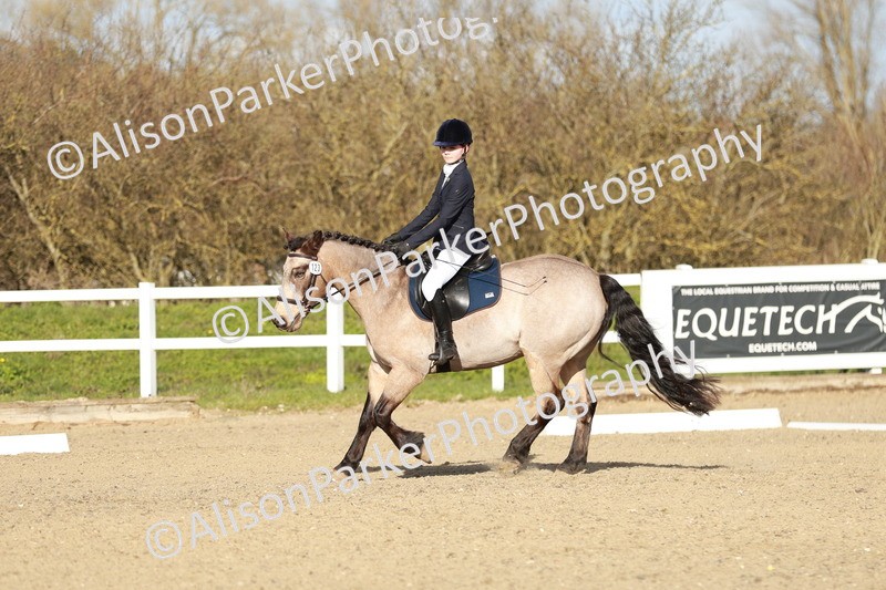 20260314-5379 - DR4 - Prelim 2