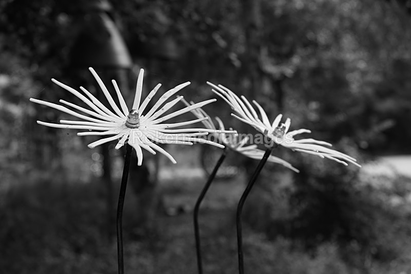  - Elemental Sculpture Park