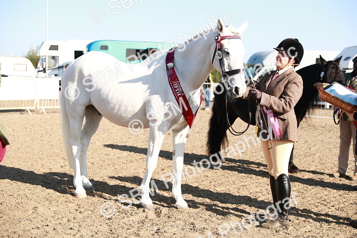 SBM_00127 - Class 40 Best Turned Out IH