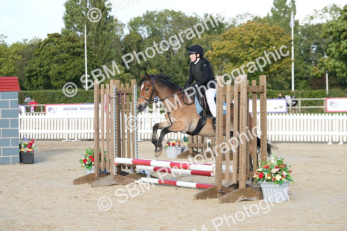 SBM_29104 - J43 - Horse & Hound Open 50cm