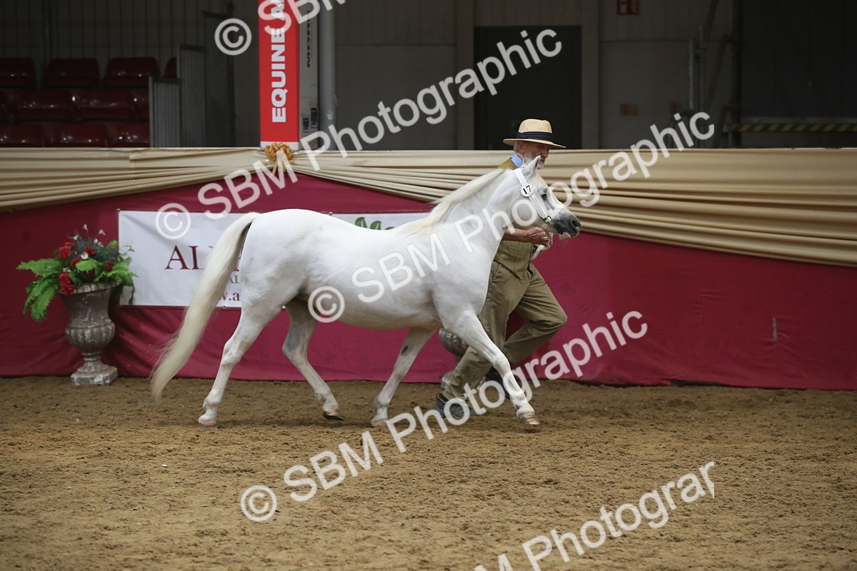 SBM_05533 - Class 9R - Regional IH Pre-Vet