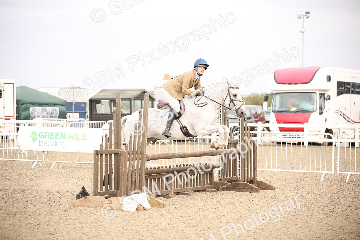 SBM_17351 - Class 410b - Working Veteran 90cm (20+)