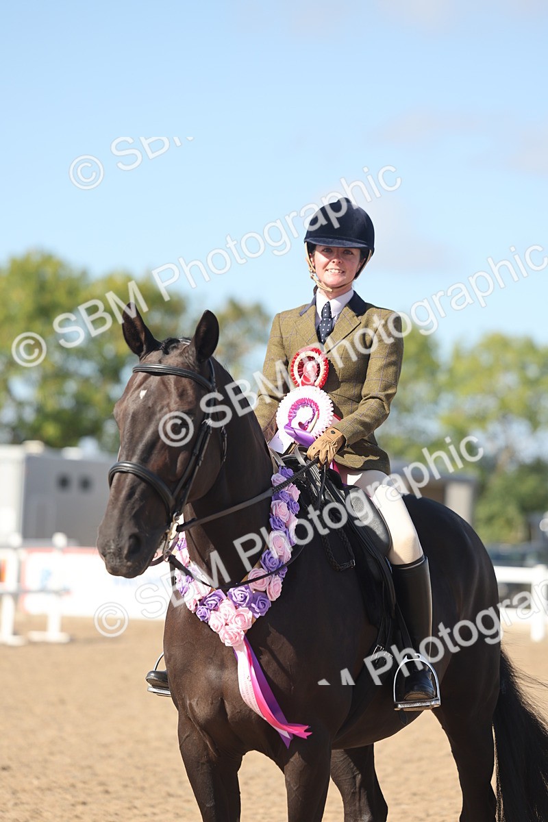 SBM_22690 - Class 805 - Ridden Veteran Horse