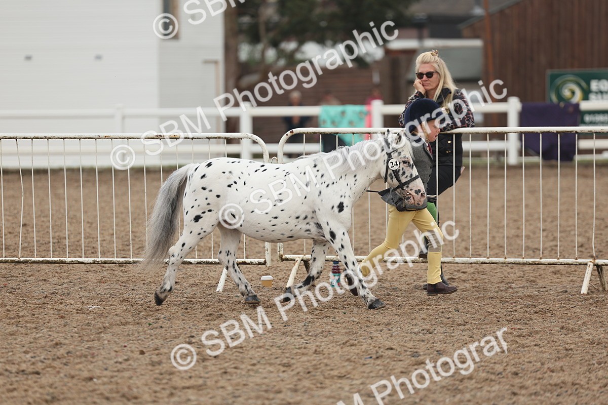 SBM_08434 - Class 29 - IH Veteran Pony