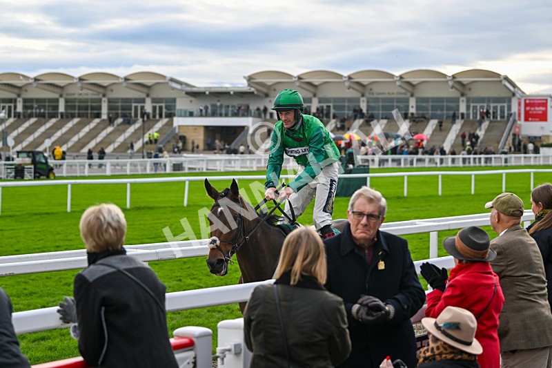 171124-Race 3-Matata-3233 - Race 3