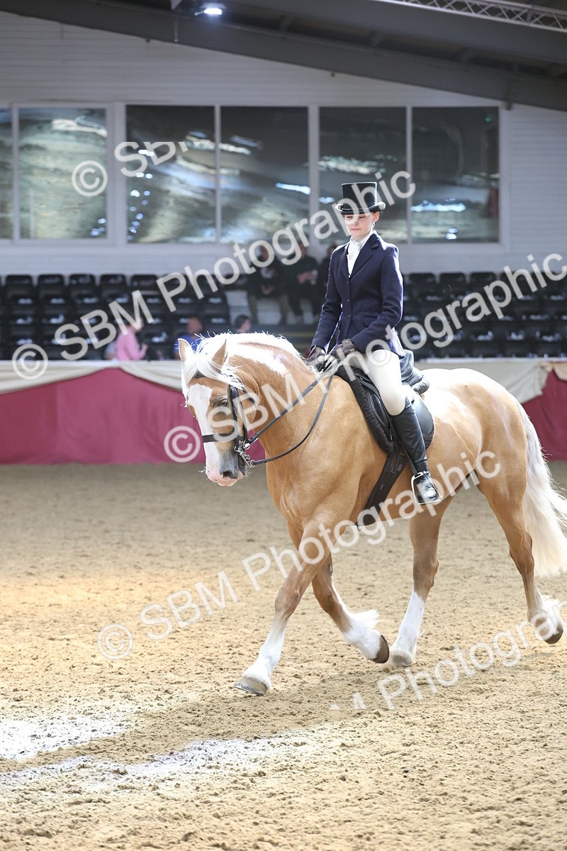 SBM_23780 - class 906 - Supreme Final - Ridden Pre Vet