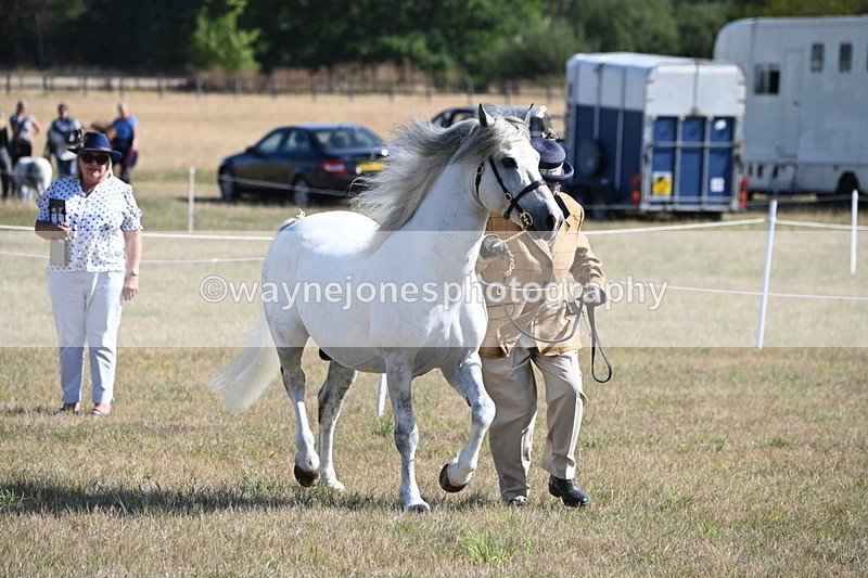 WJ6_4212 - Class 16 Condition & Turn Out