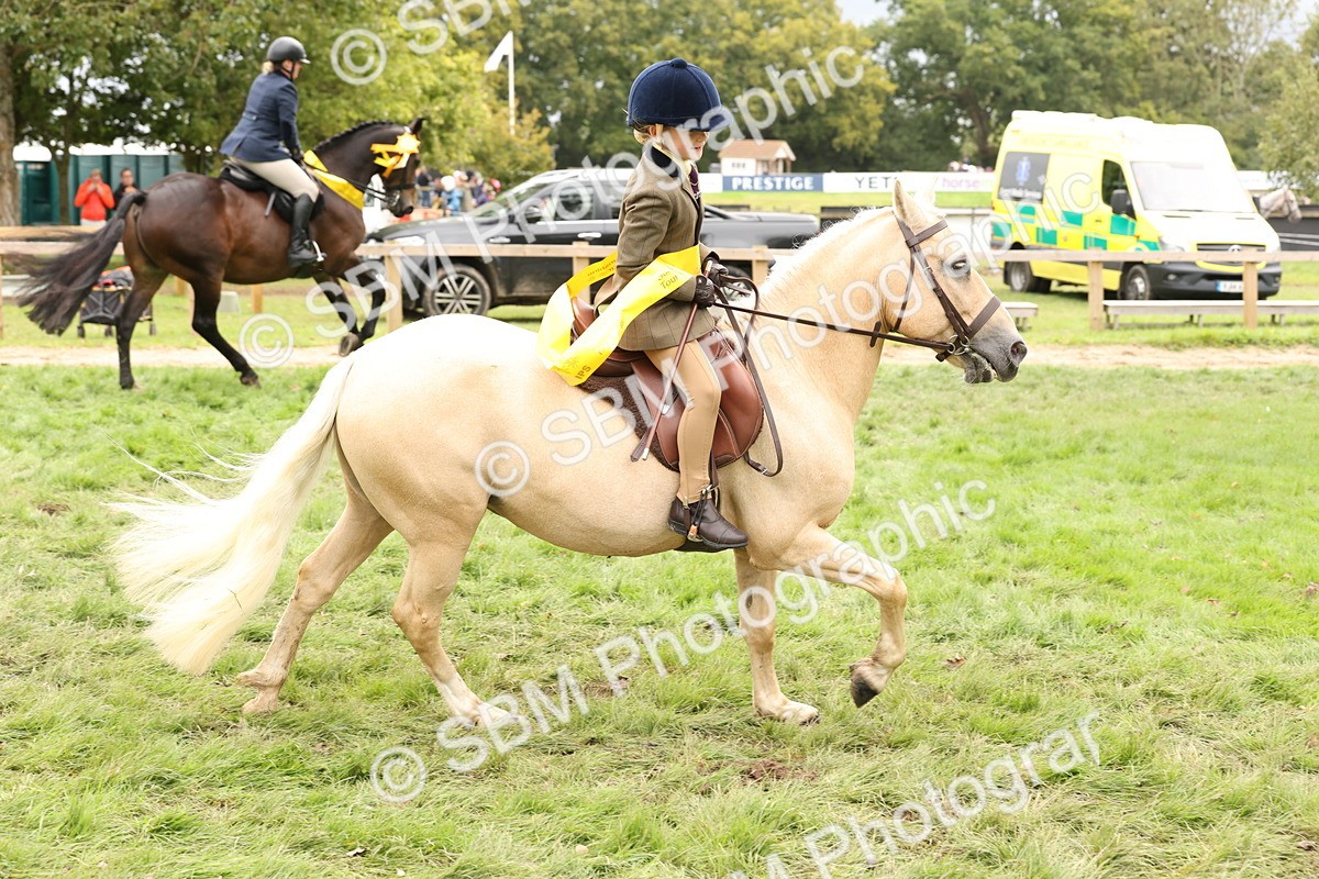 SBM_63057 - S64 - Foreign Breeds Ridden