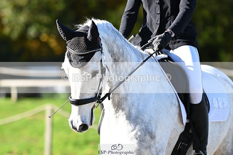 231110-102945-00100 - Cls 2 Prelim 17(a)Q