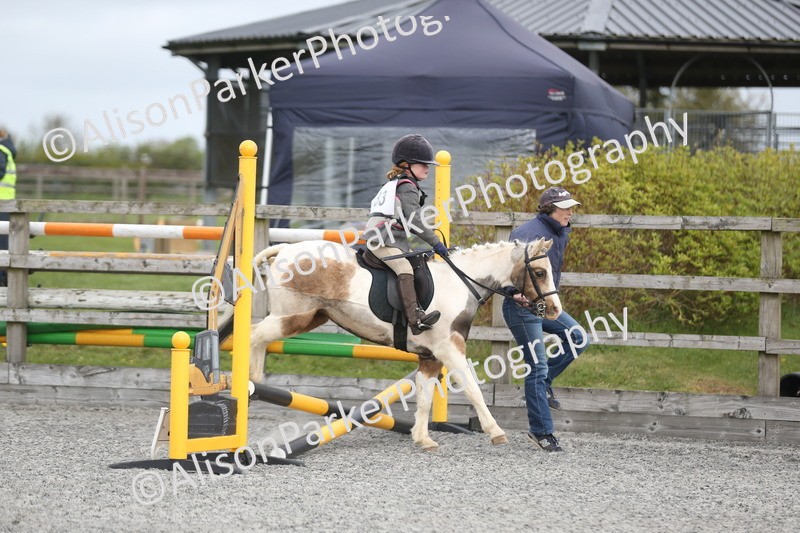 20260412-0153 - Show Jumping