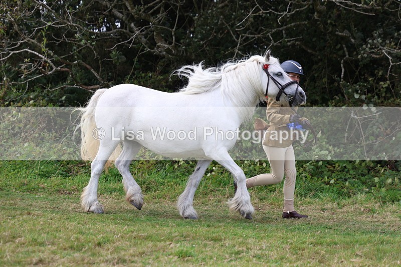 3E7A5631 - In Hand Championship