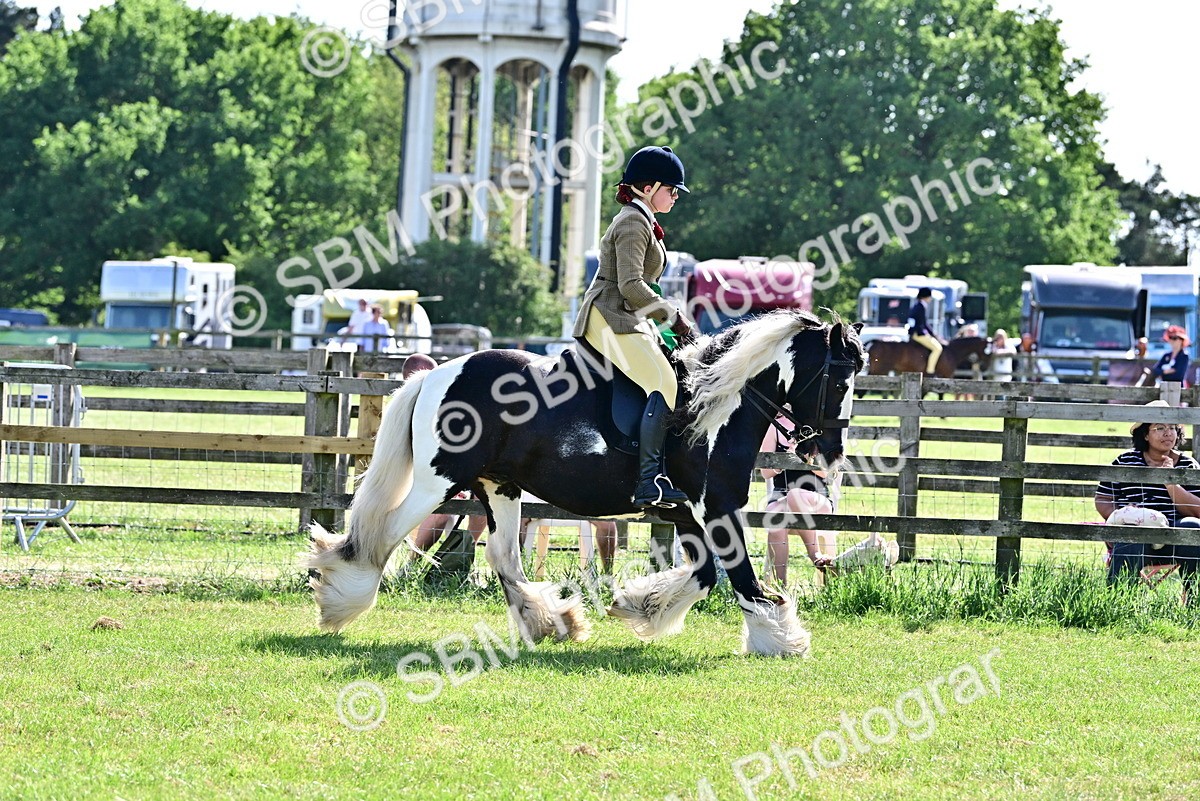 SBM_09457 - Class 63-65 - Traditional Gypsy Cobs In Hand & Ridden