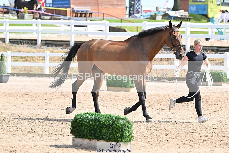 240717A-154512-03036 - Trot Up 3pm to 4pm