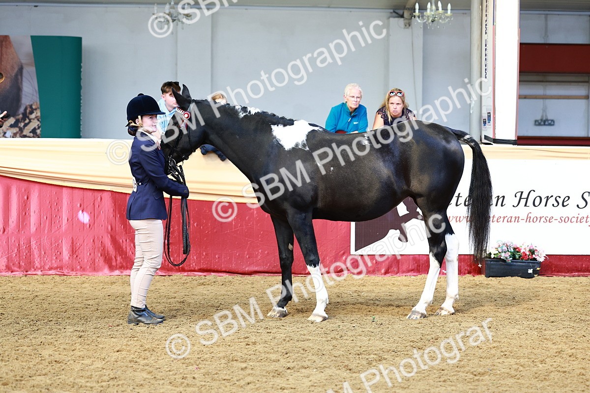 SBM_23135 - Class 903 - Supreme Final - IH Pre Vet