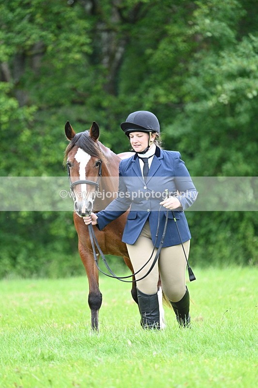 WJ7_4389 - Class 14B Prettiest Mare