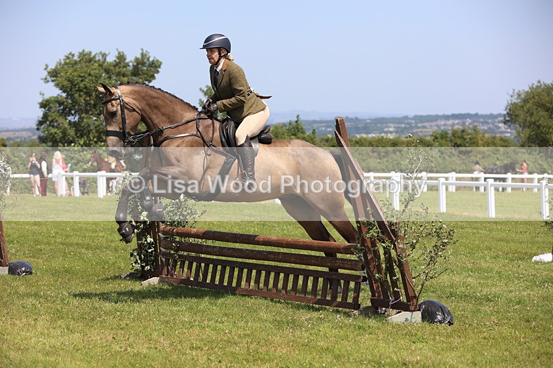 JPP_3122 - Class 22: Working Hunter 70cm