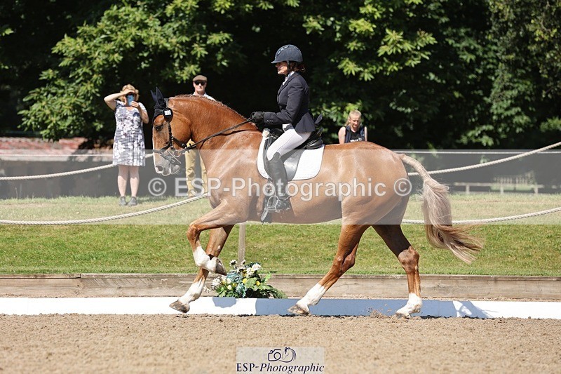 240719-103953-00766 - 223-Deborah_Randall-Sandy's_Bertie