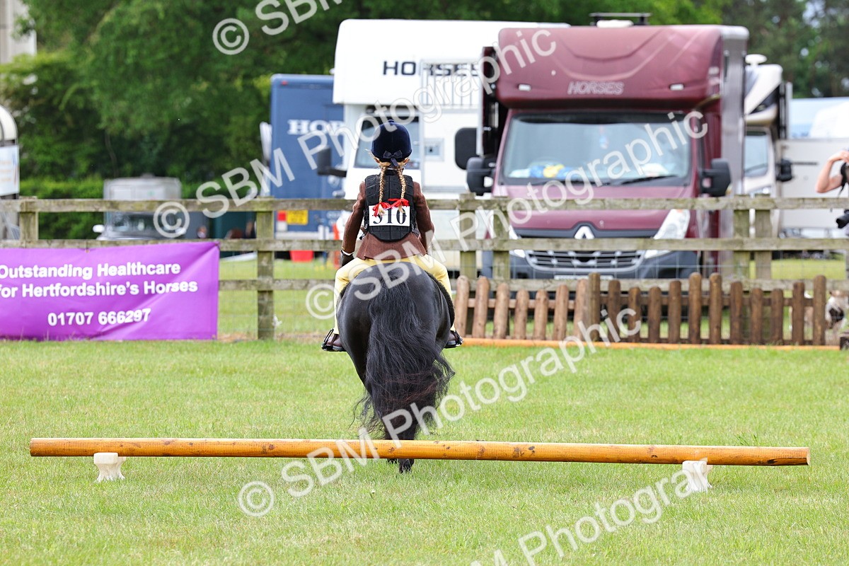 SBM_08669 - Class 42-43 - LIHS BSPS Heritage Working Sports Pony