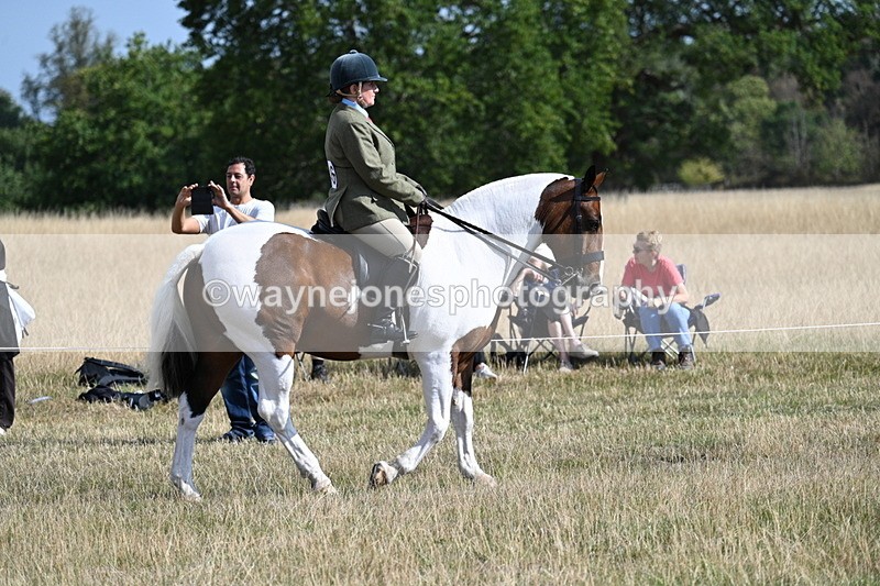 WJ7_2686 - Class 8 Ridden Tack & Turnout