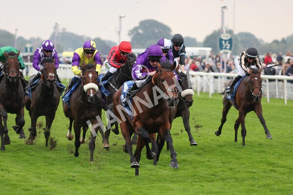yr09102021r1-38 - Race 1 1.30pm Watch Racing Free Online At Coral Nursery Handicap