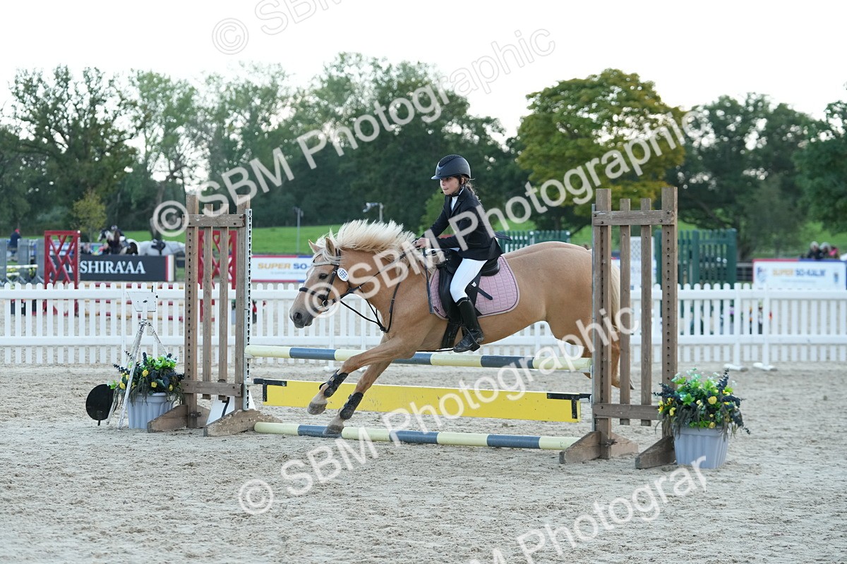 SBM_54215 - Supreme Championship 60cm 65cm