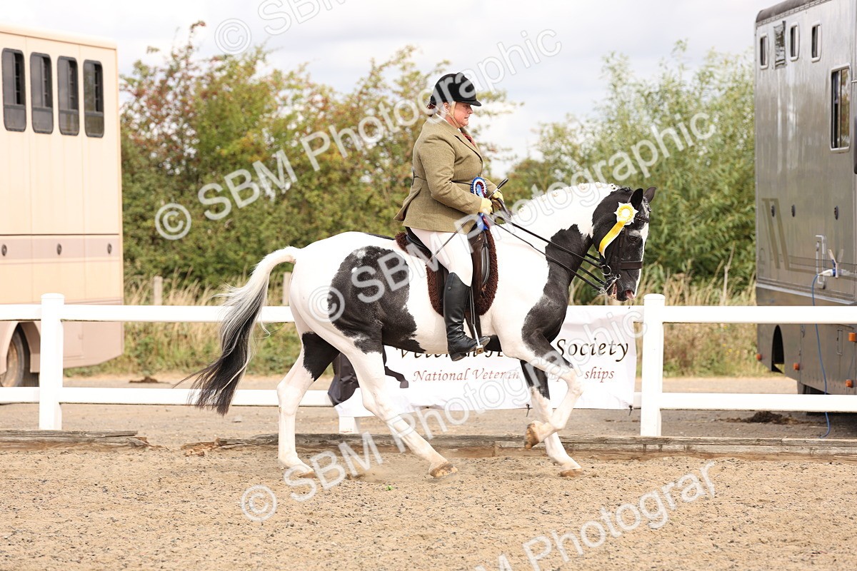 SBM_04317 - Class 54 - Riding Club Horse/Pony