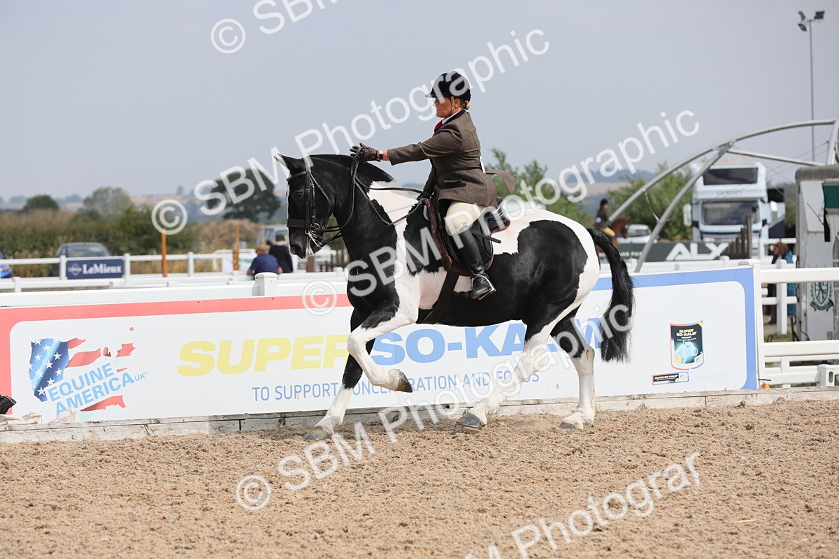 SBM_13365 - Class 308 Ridden Coloured Horse