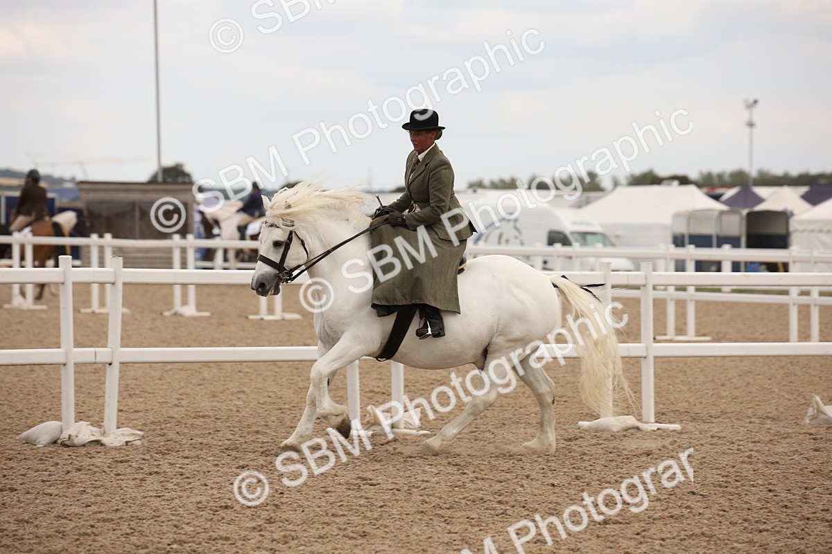 SBM_05359 - Class 22 SSA Equitation