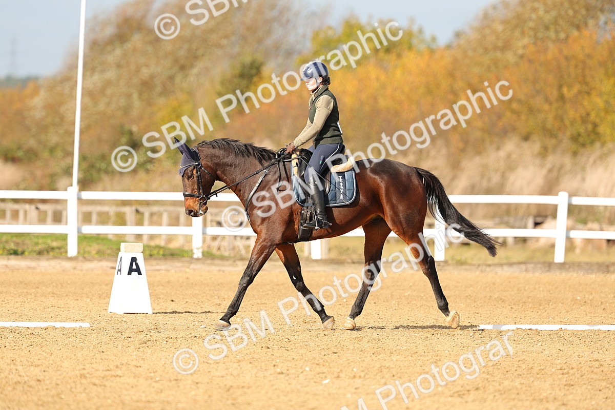 SBM_000846 - Class 3-12 - CT P2 60cm - DR P2
