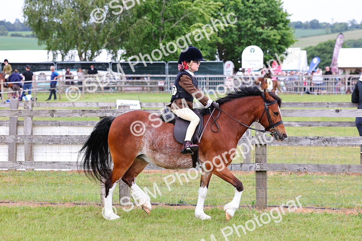 SBM_08547 - Class 42-43 - LIHS BSPS Heritage Working Sports Pony