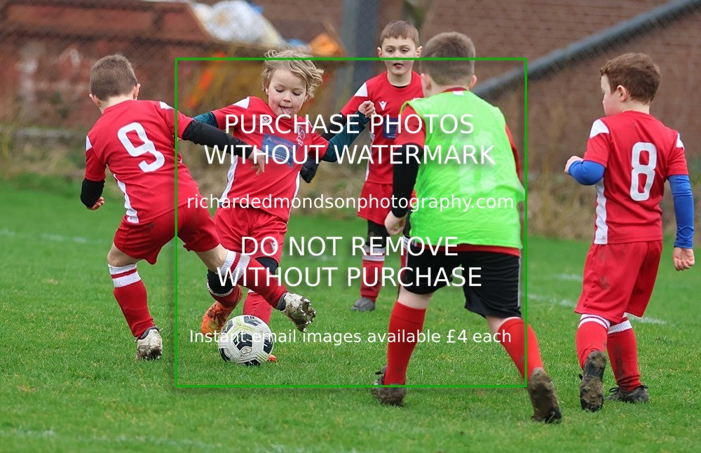 533A1231 - Ibis Under 7's (28/2/26)