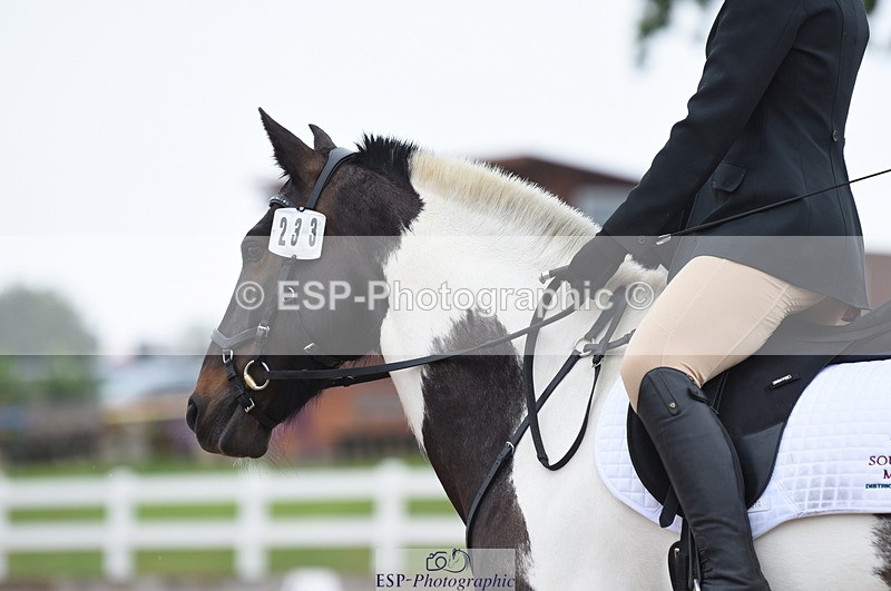 230708A-131906-01883 - Prelim 7