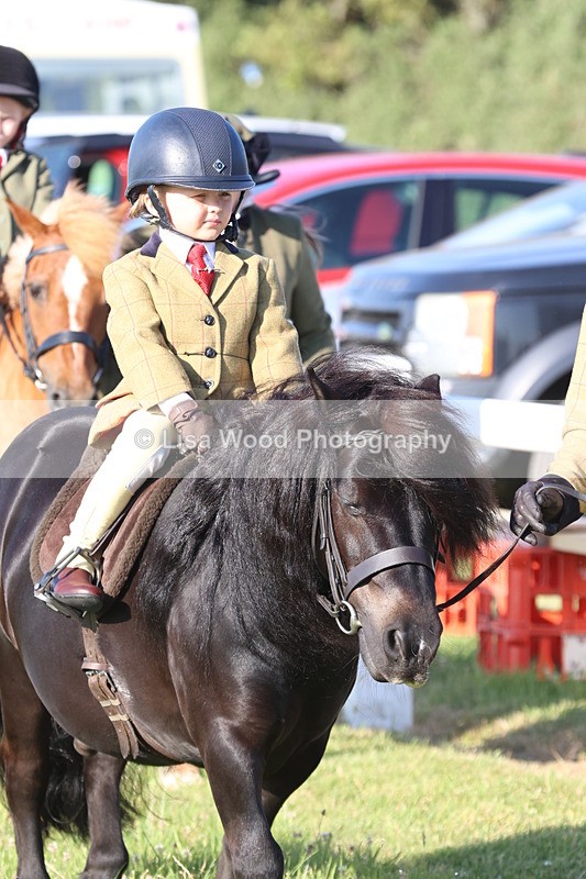 JPP_0647 - Class 16: Cornish Combination Leading Rein