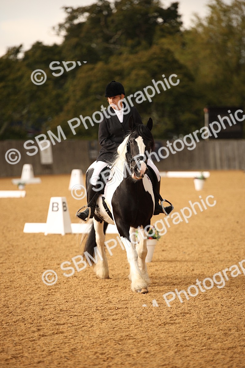 SBM_12384 - D3 Small  Tour Championship Intro A