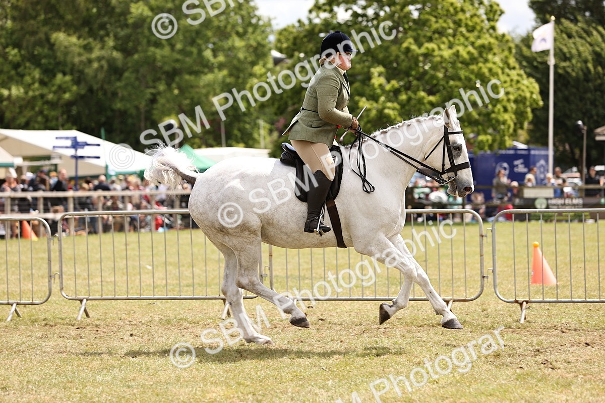 SBM_14807 - Class 88-89 - LIHS BSHA Rising Star of Ridden Hunter Type