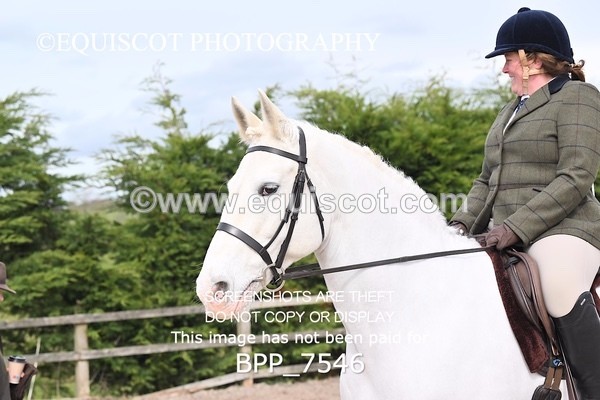 BPP_7546 - RING 1  (RIDDEN HORSES / IN HAND / VETERAN ETC)