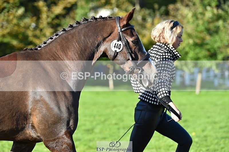 231022-103908-22641 - 440-LODOR.CARL-Katie.Mathias-TrotUp+SJ